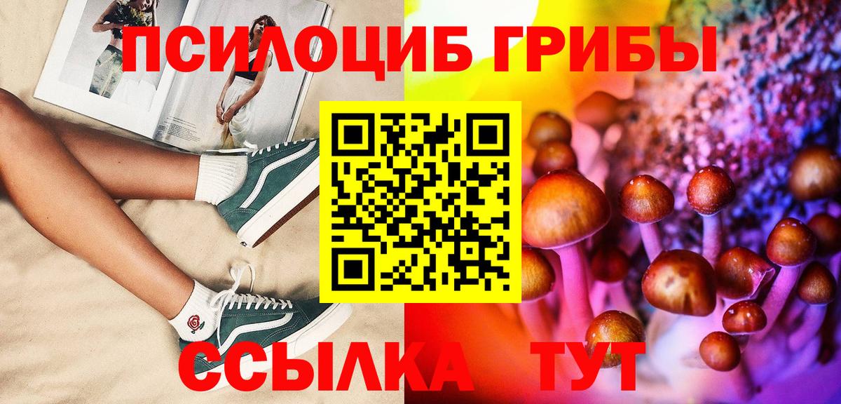 Галлюциногенные грибы мицелий  сколько стоит  Чистополь  Вход с VPN 